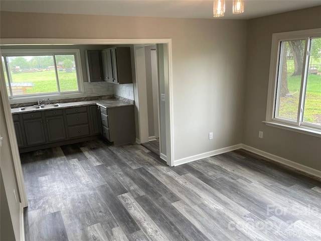 kitchen with tasteful backsplash, dark hardwood / wood-style flooring, sink, and gray cabinets