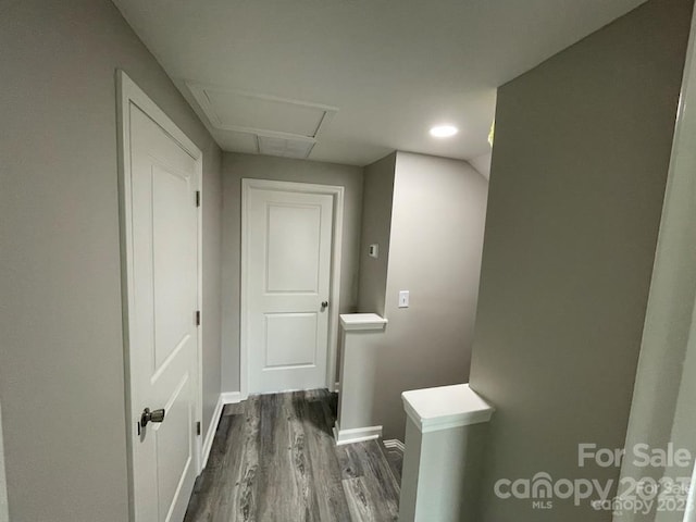 bathroom featuring hardwood / wood-style floors