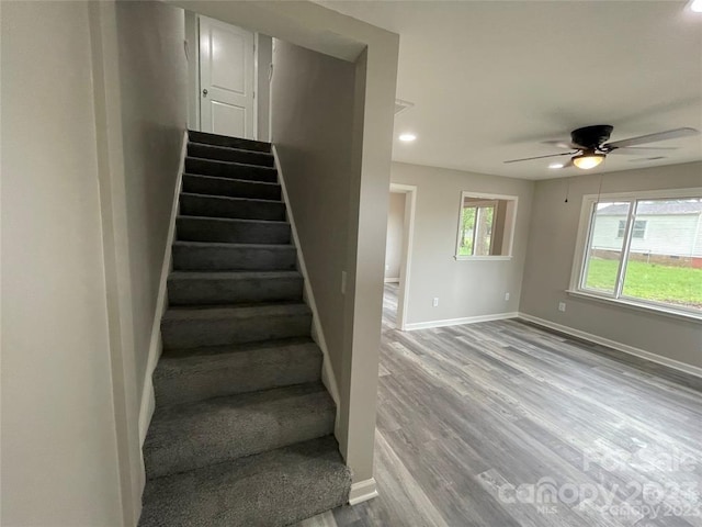 staircase with light hardwood / wood-style flooring and ceiling fan