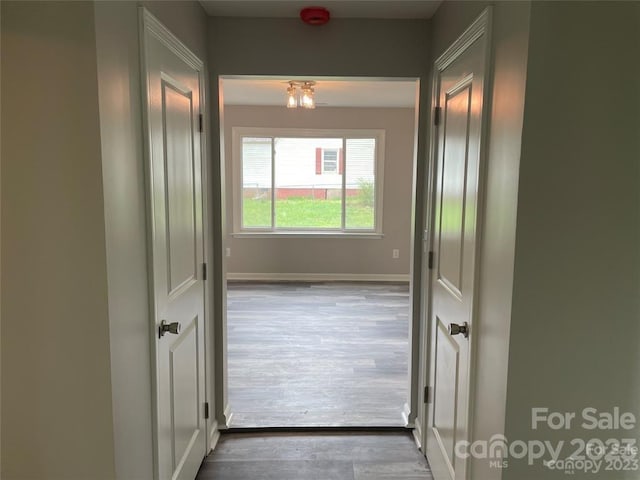 corridor with dark wood-type flooring