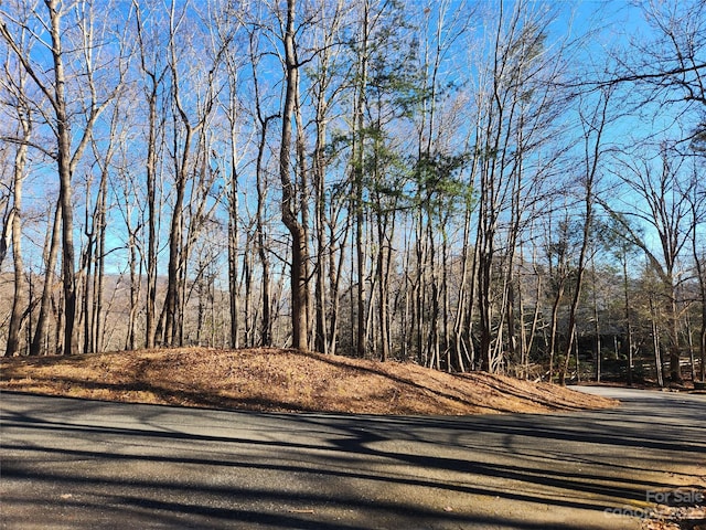 LOT218 Bolt Rd, Lake Lure NC, 28746 land for sale