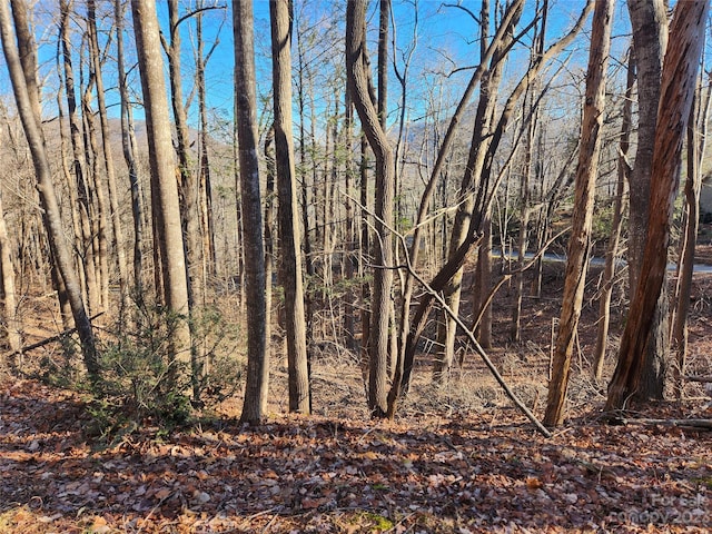 Listing photo 2 for LOT218 Bolt Rd, Lake Lure NC 28746