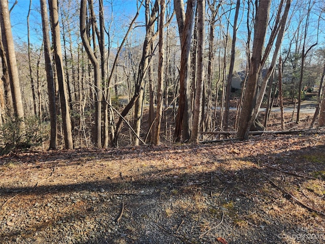 Listing photo 3 for LOT218 Bolt Rd, Lake Lure NC 28746