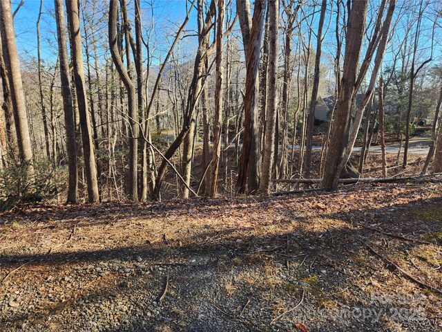 LOT218 Bolt Rd, Lake Lure, NC 28746 - photo 3