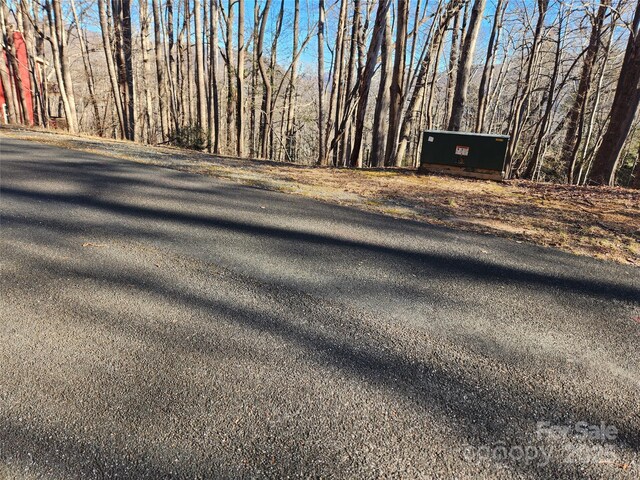 LOT218 Bolt Rd, Lake Lure, NC 28746 - photo 4