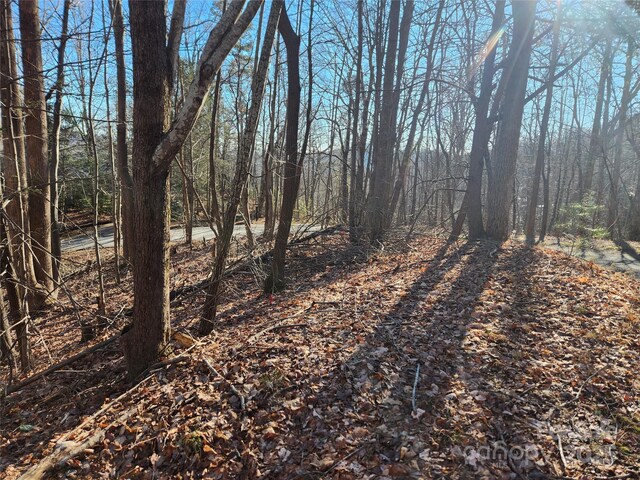 LOT218 Bolt Rd, Lake Lure, NC 28746 - photo 5