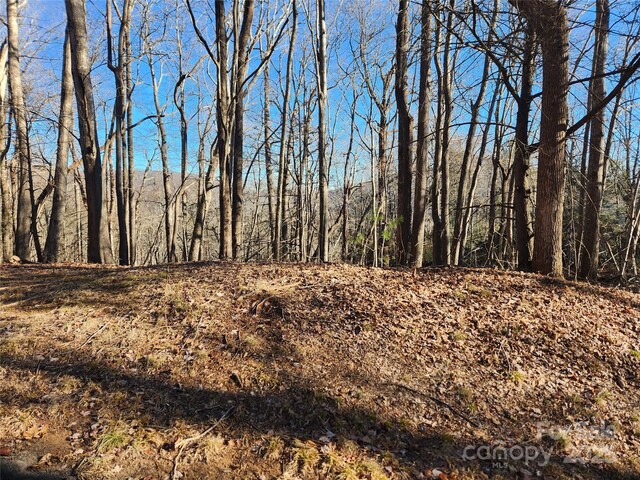 LOT218 Bolt Rd, Lake Lure, NC 28746 - photo 6