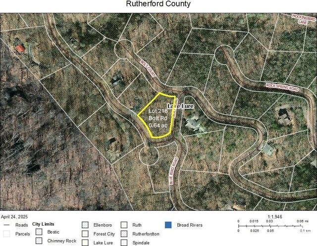LOT218 Bolt Rd, Lake Lure, NC 28746 - photo 8