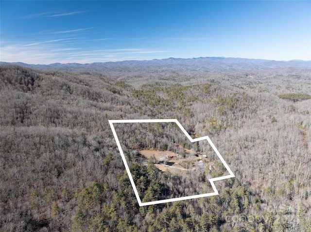 bird's eye view featuring a mountain view