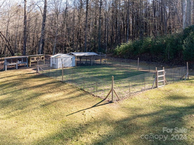 view of yard featuring a storage unit