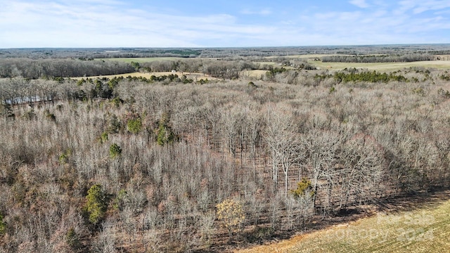 view of bird's eye view