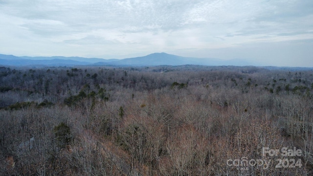 Listing photo 3 for LOT73 Black Lark Dr, Marion NC 28752