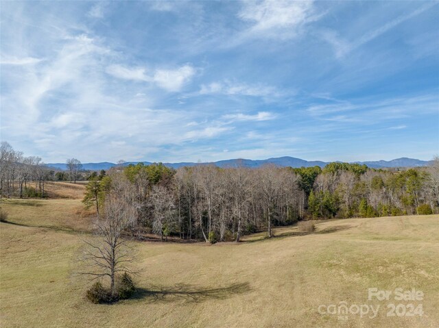LOT17.2 Saddleside Dr Unit 17.2, Mill Spring, NC 28756