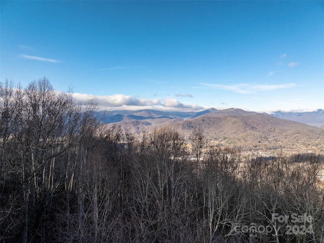 1412 Easy Wind Dr, Swannanoa NC, 28778 land for sale