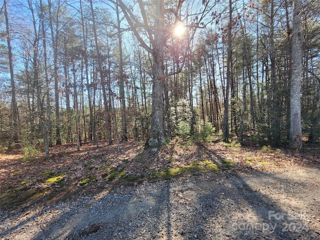 Listing photo 3 for 0 Ronnie Fox Rd, Morganton NC 28655