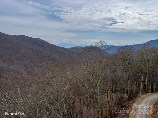 00 Chestnut Ln Unit 100, Mars Hill NC, 28754 land for sale