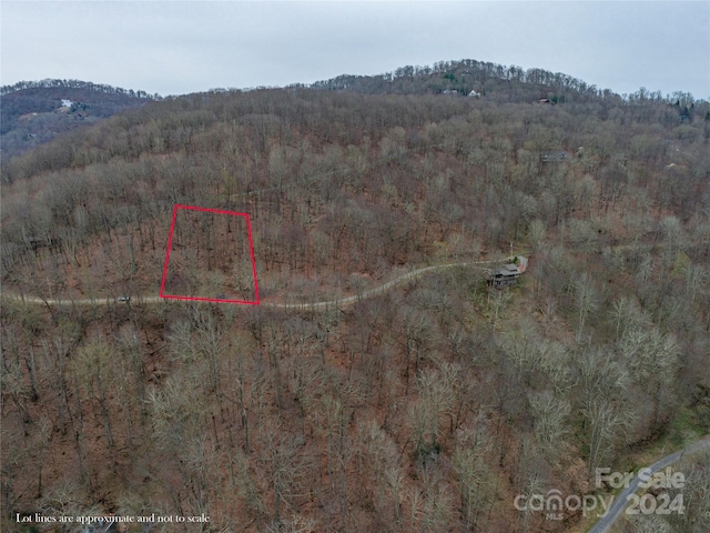 Listing photo 2 for 00 Chestnut Ln Unit 100, Mars Hill NC 28754