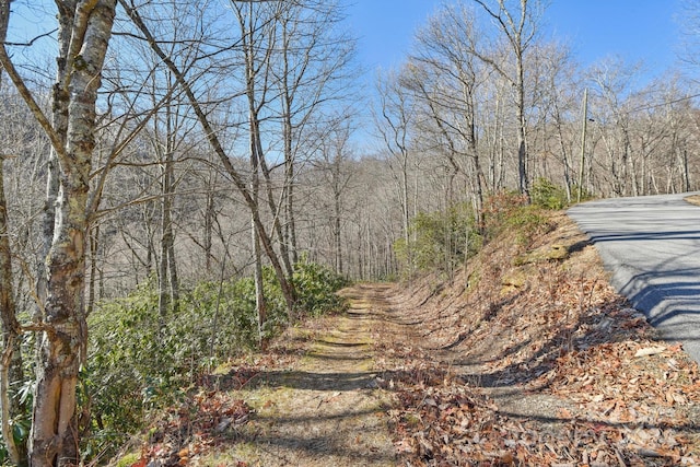 Listing photo 2 for 334 Paso Fino Dr Unit 334, Maggie Valley NC 28751