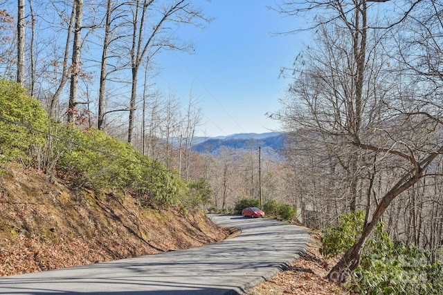 Listing photo 3 for 334 Paso Fino Dr Unit 334, Maggie Valley NC 28751