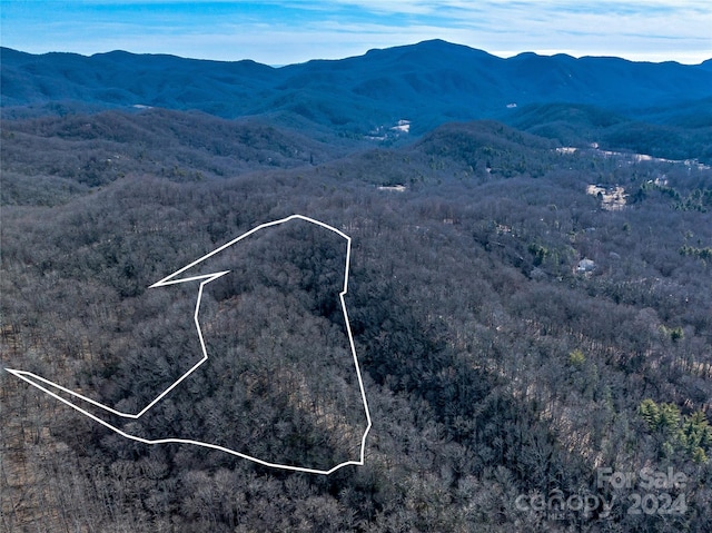 99999 Flat Creek Rd, Fairview NC, 28730 land for sale