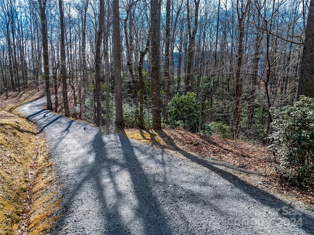 Listing photo 2 for 99999 Flat Creek Rd, Fairview NC 28730