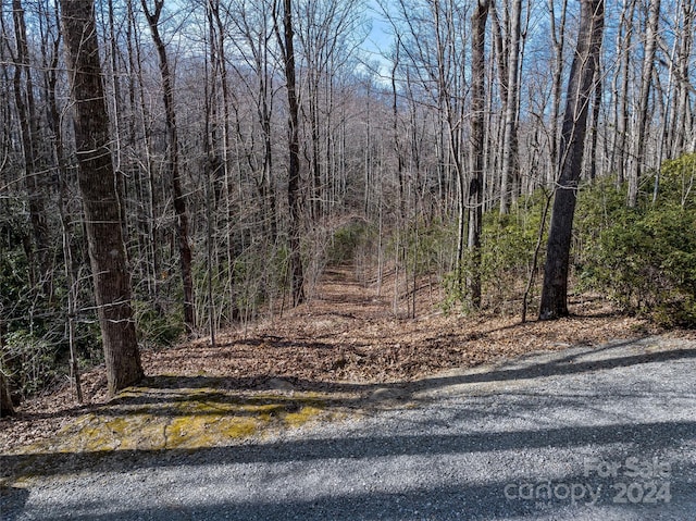 Listing photo 3 for 99999 Flat Creek Rd, Fairview NC 28730