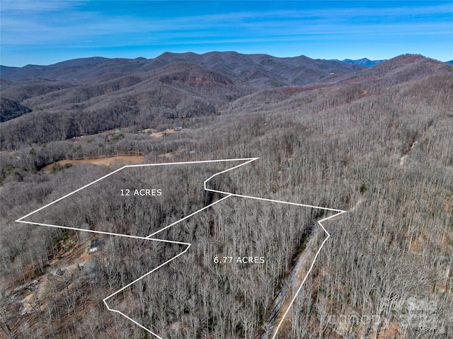 99999 Nesbitt Chapel Rd, Fairview NC, 28730 land for sale