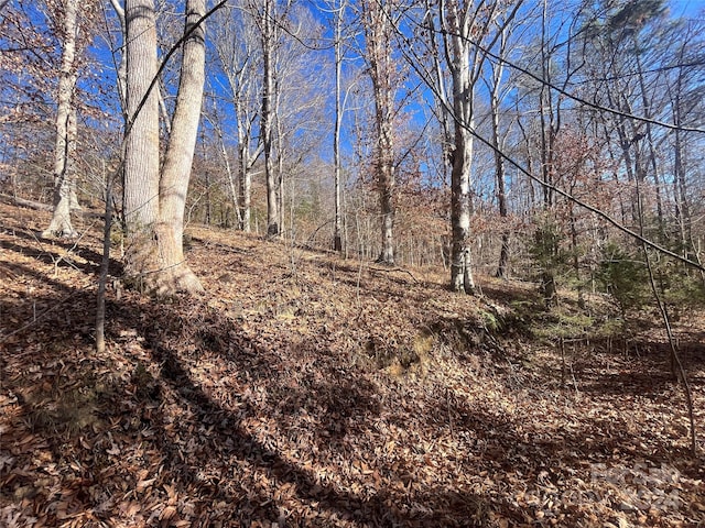 Listing photo 2 for TBD Cross Creek Dr, Rutherfordton NC 28139