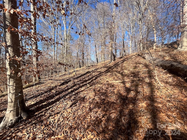 Listing photo 3 for TBD Cross Creek Dr, Rutherfordton NC 28139