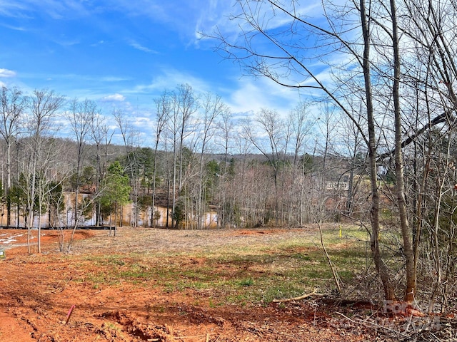 Listing photo 3 for 134 Wilharr Ct Unit 35, Mooresville NC 28115