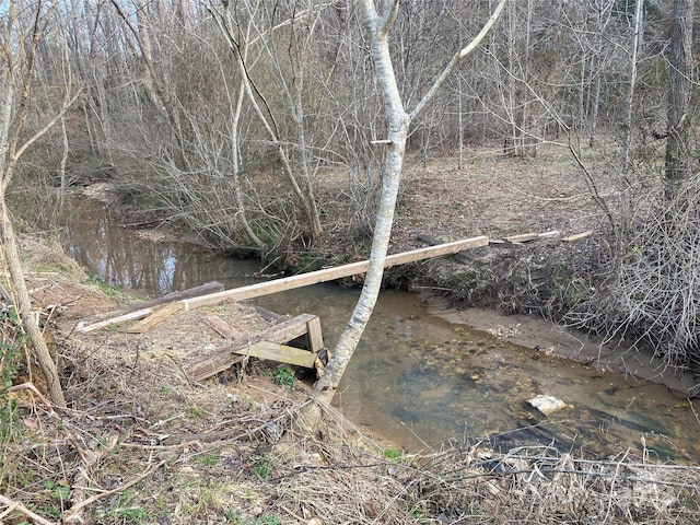 view of local wilderness featuring a water view