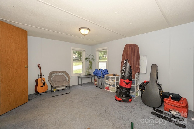 interior space featuring carpet floors