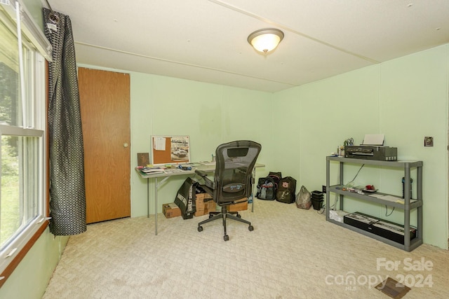 view of carpeted home office