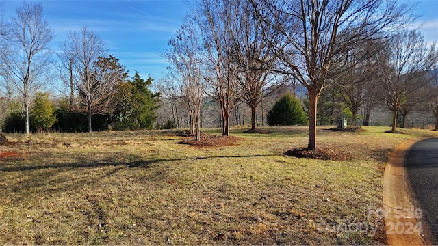 0 Mountain Pkwy Unit 52/53/54, Mill Spring NC, 28756 land for sale