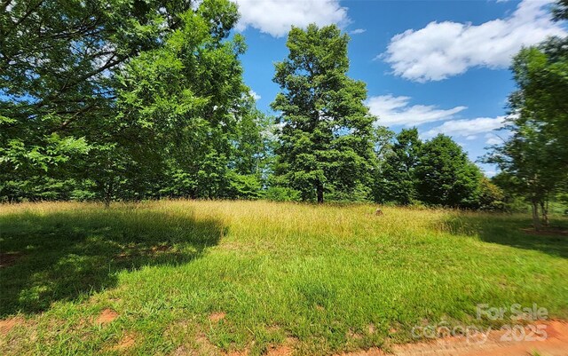 0 Mountain Pkwy Unit 52/53/54, Mill Spring, NC 28756 - photo 5