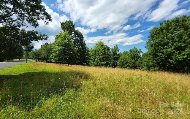 0 Mountain Pkwy Unit 52/53/54, Mill Spring, NC 28756 - photo 7