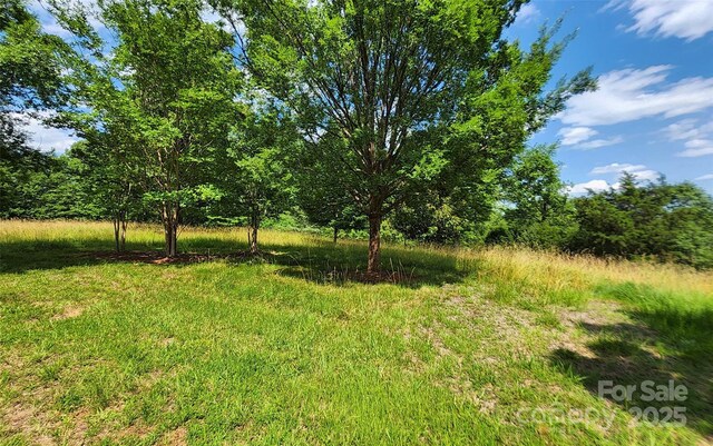 0 Mountain Pkwy Unit 52/53/54, Mill Spring, NC 28756 - photo 8