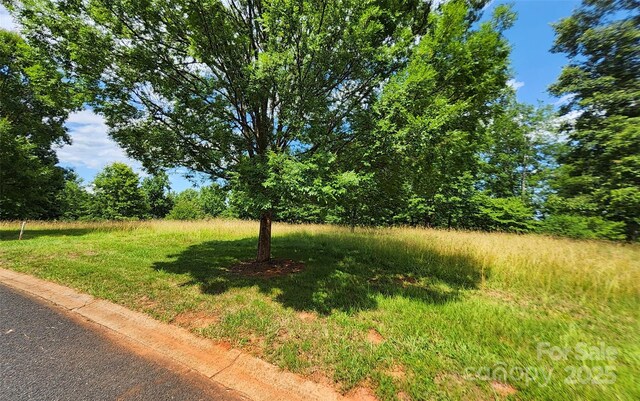 0 Mountain Pkwy Unit 52/53/54, Mill Spring, NC 28756 - photo 9