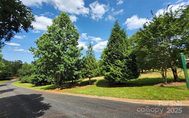 0 Mountain Pkwy Unit 52/53/54, Mill Spring, NC 28756 - photo 12