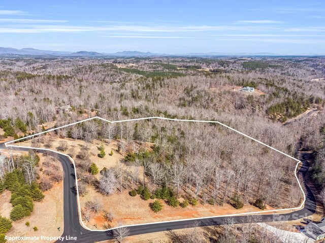 0 Mountain Pkwy Unit 52/53/54, Mill Spring, NC 28756 - photo 16