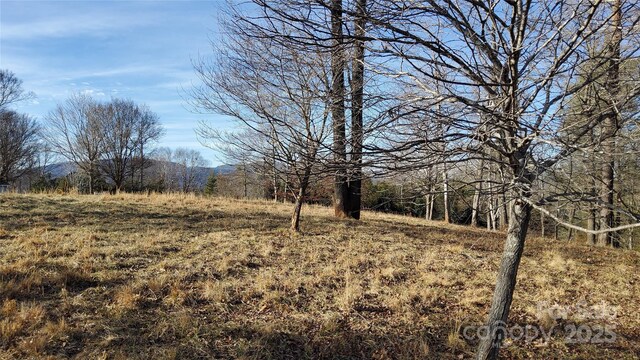 0 Mountain Pkwy Unit 52/53/54, Mill Spring, NC 28756 - photo 17