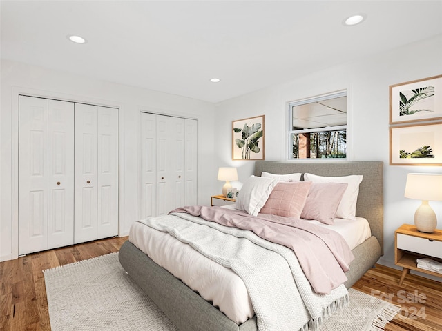 bedroom with two closets and wood-type flooring