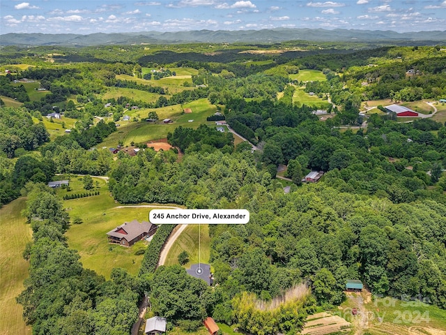 bird's eye view featuring a mountain view