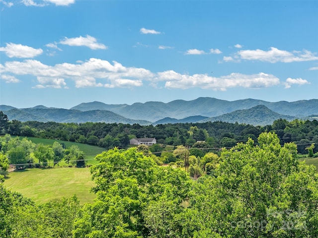 view of mountain feature