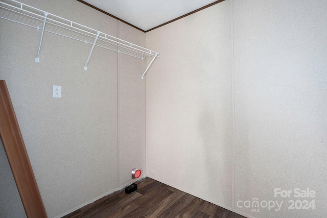 clothes washing area featuring dark hardwood / wood-style flooring