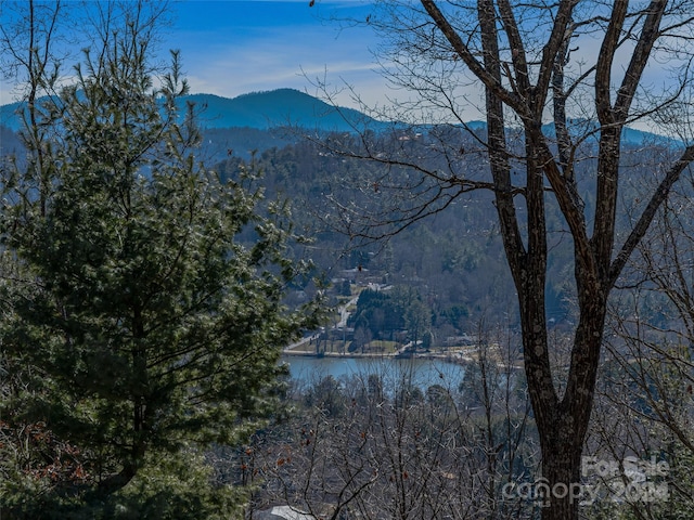 Listing photo 3 for 159 Senator Reynolds Rd, Asheville NC 28804