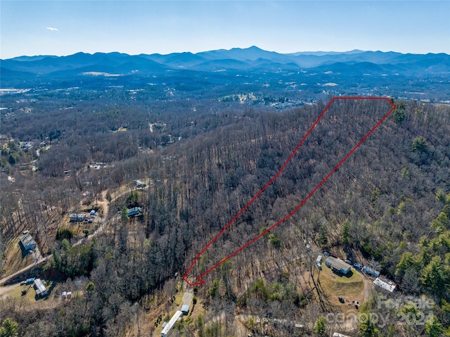 99999 Propst Rd, Candler NC, 28715 land for sale