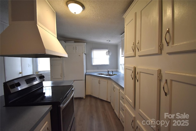 kitchen with stainless steel electric stove, white cabinets, lofted ceiling, sink, and island range hood