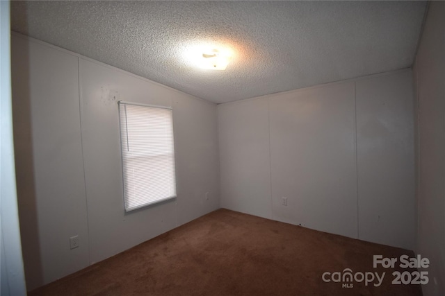 spare room featuring carpet and a textured ceiling