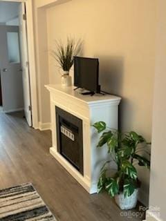 room details featuring dark hardwood / wood-style floors